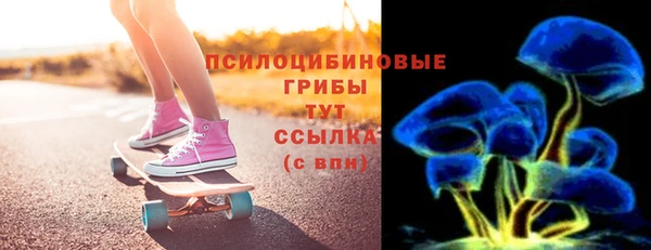 сатива Михайловка