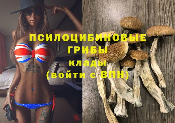 стаф Михайловск