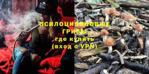 стаф Михайловск