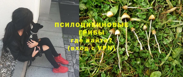 сатива Михайловка